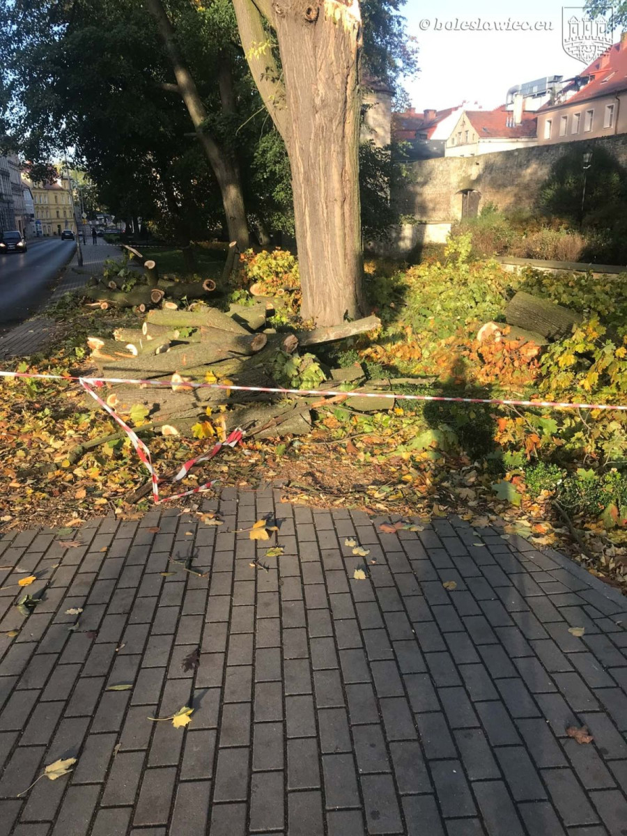 Krajobraz po wichurze. Trwa sprzątanie