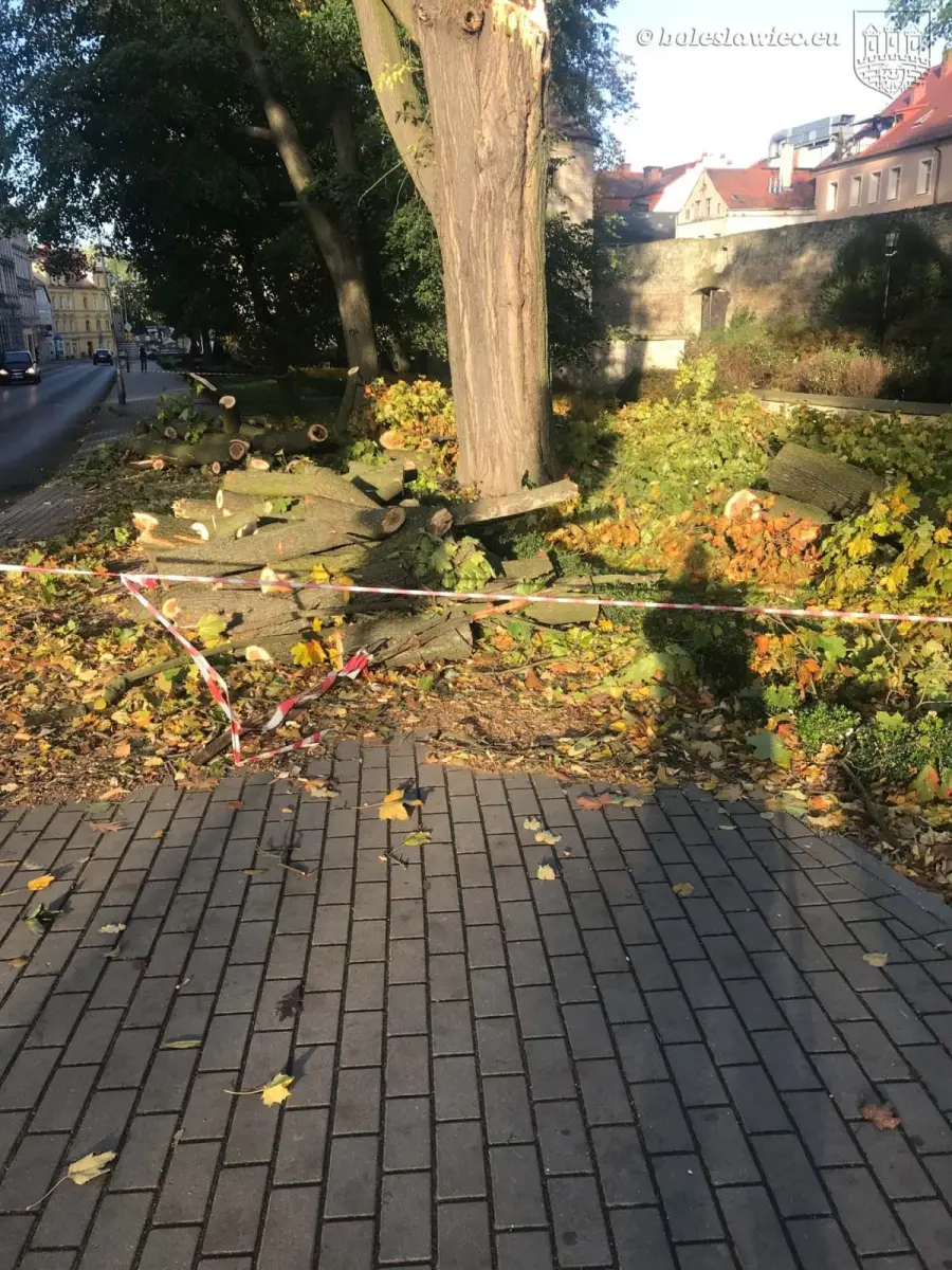 Krajobraz po wichurze. Trwa sprzątanie