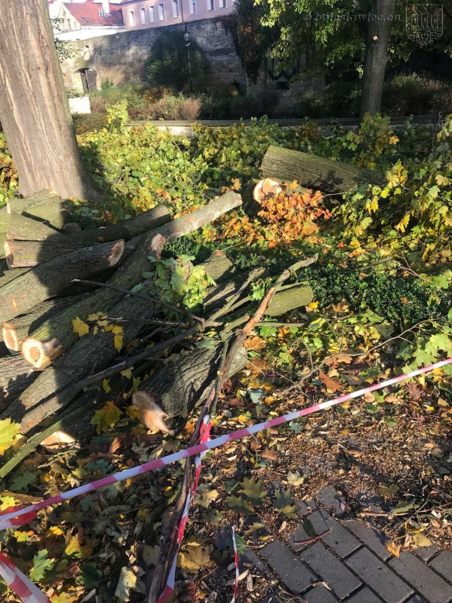 Krajobraz po wichurze. Trwa sprzątanie