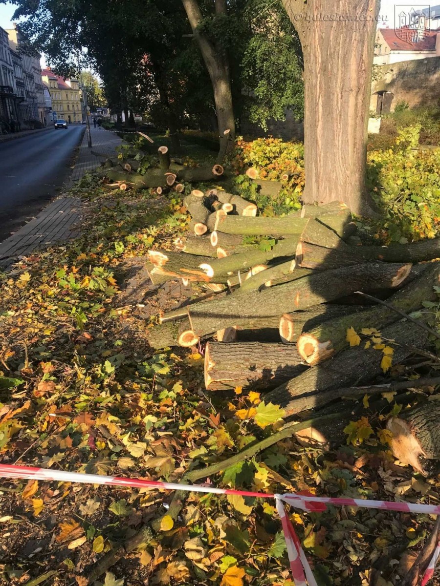 Krajobraz po wichurze. Trwa sprzątanie