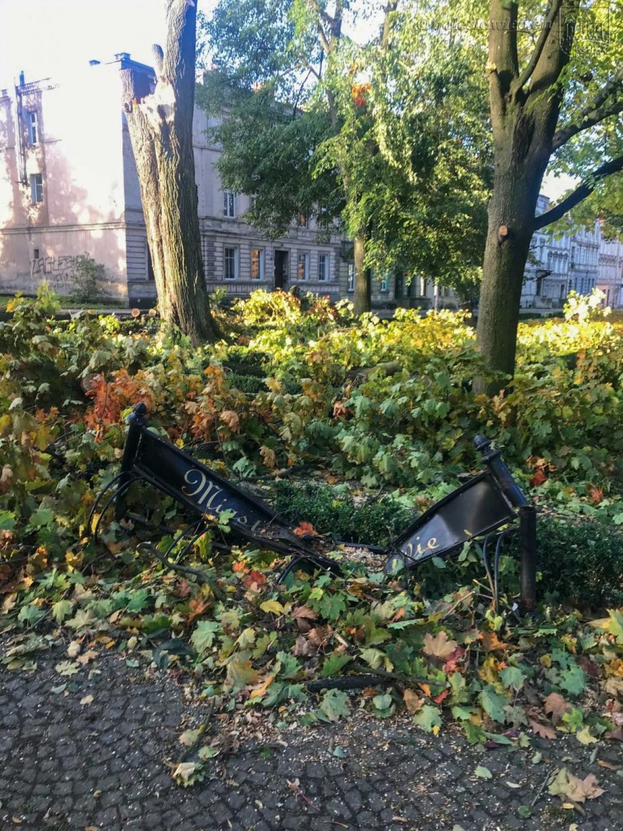 Krajobraz po wichurze. Trwa sprzątanie