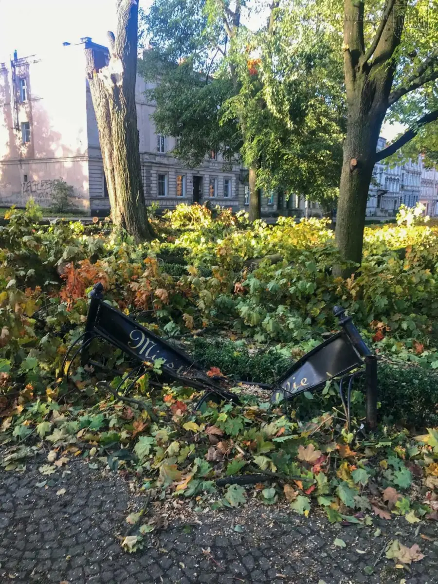 Krajobraz po wichurze. Trwa sprzątanie