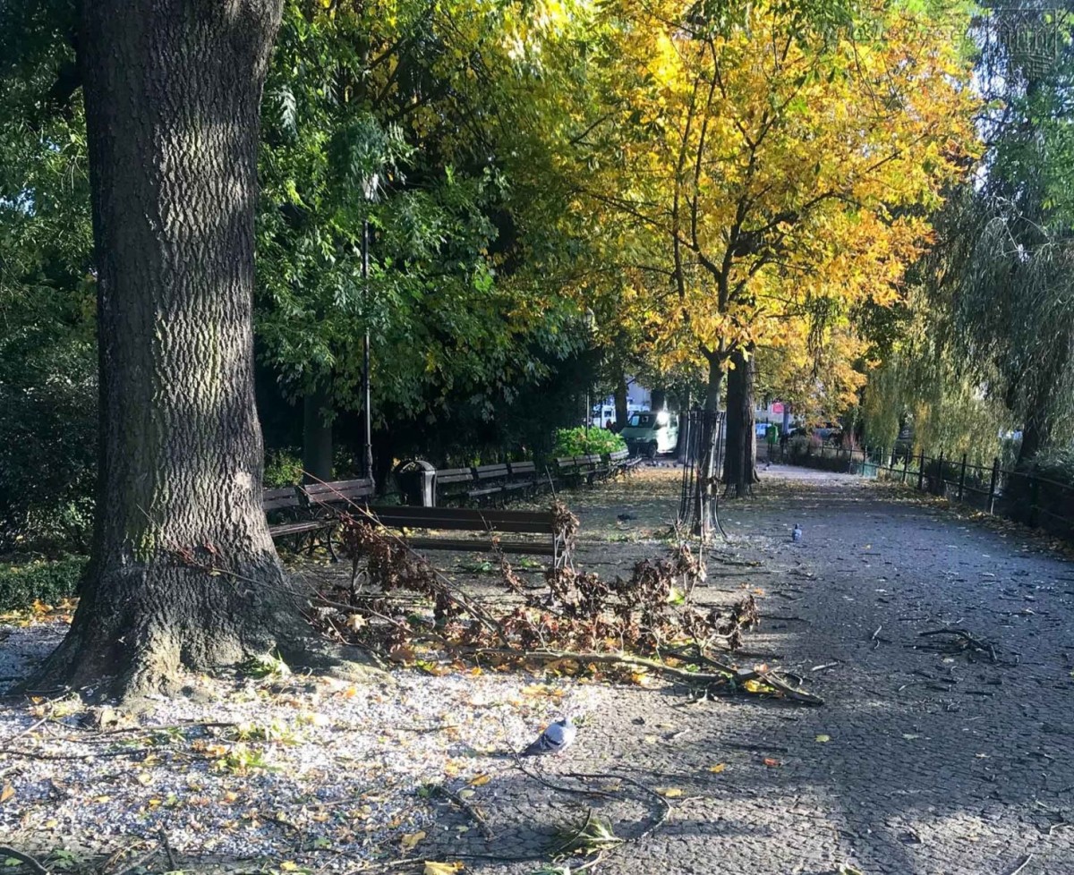 Krajobraz po wichurze. Trwa sprzątanie