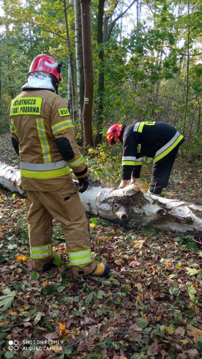 Strażacy OSP Wierzbowa - 9 interwencji po wichurze