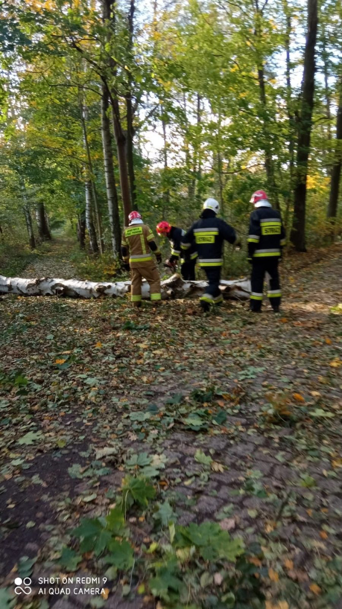 Strażacy OSP Wierzbowa - 9 interwencji po wichurze