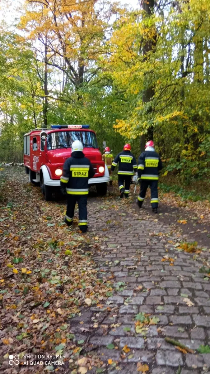 Strażacy OSP Wierzbowa - 9 interwencji po wichurze