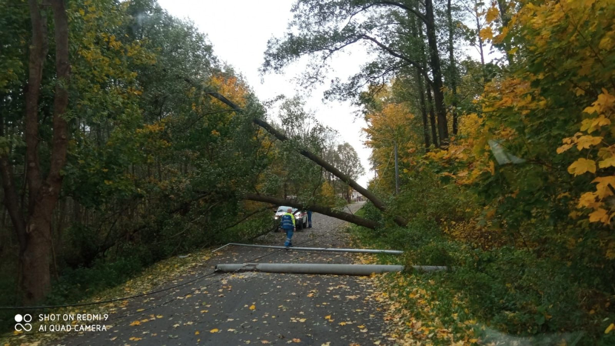 Strażacy OSP Wierzbowa - 9 interwencji po wichurze