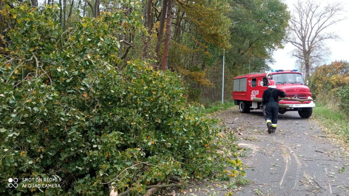 Strażacy OSP Wierzbowa - 9 interwencji po wichurze