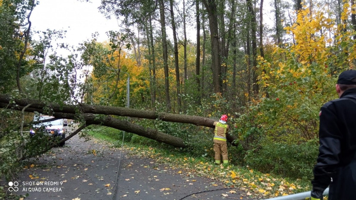 Strażacy OSP Wierzbowa - 9 interwencji po wichurze