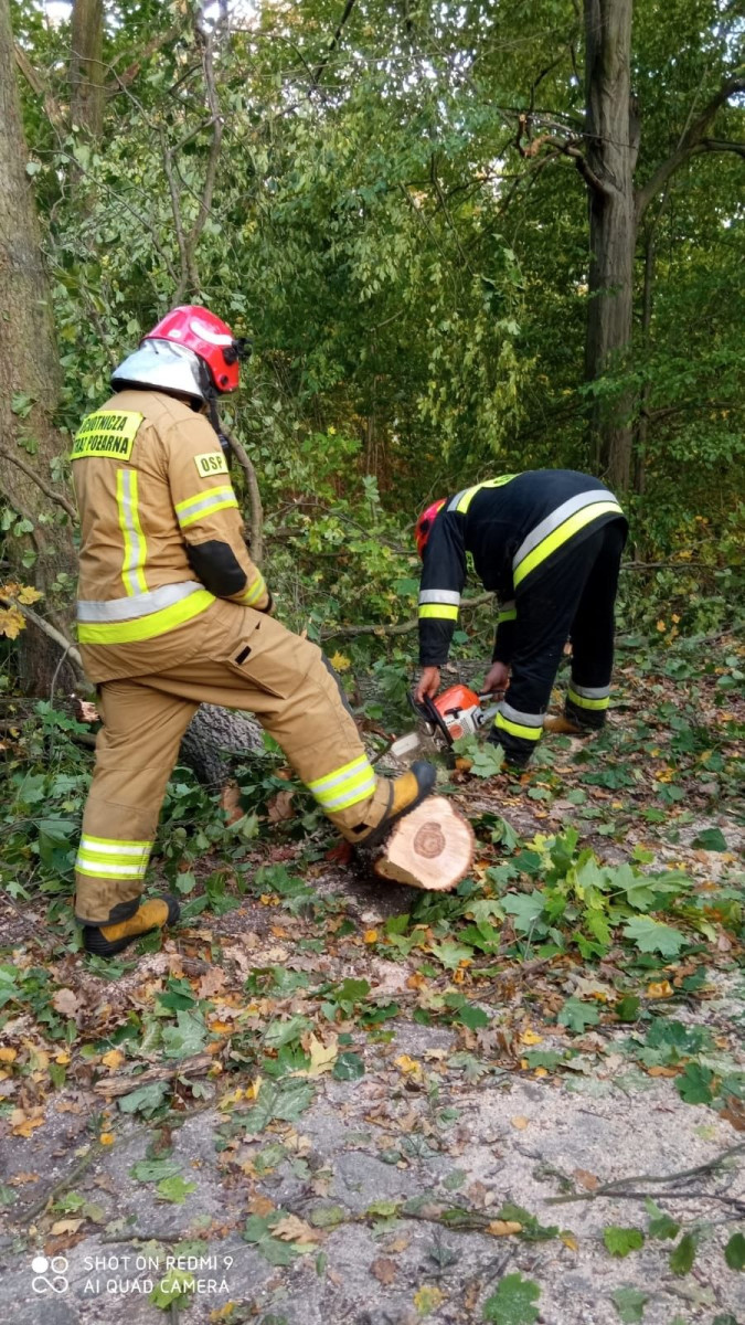 Strażacy OSP Wierzbowa - 9 interwencji po wichurze