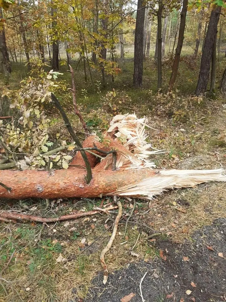 Akcja OSP Gromadka