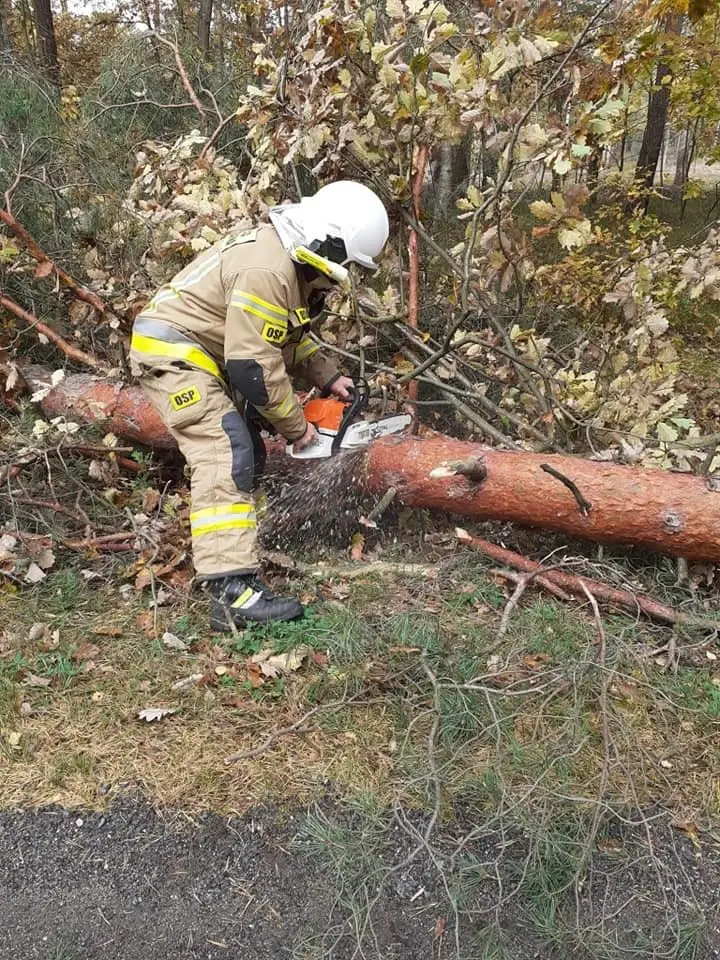 Akcja OSP Gromadka