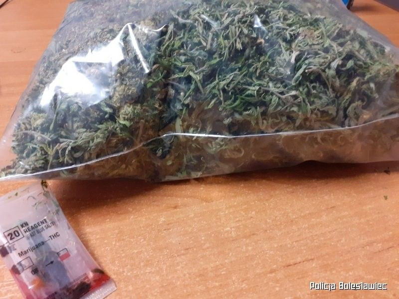 Narkotyki i podejrzani