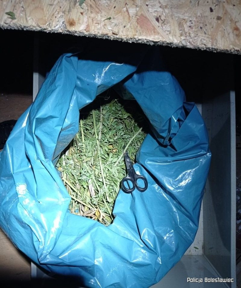Narkotyki i podejrzani