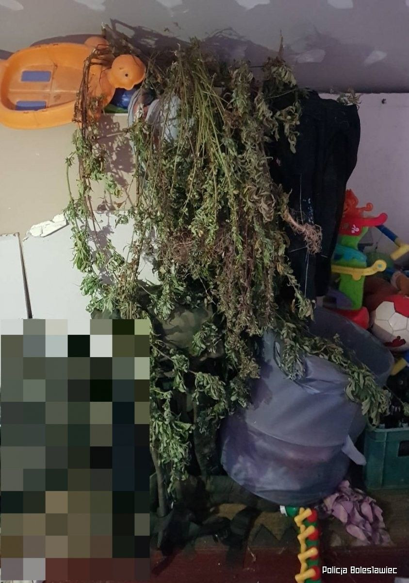 Narkotyki i podejrzani