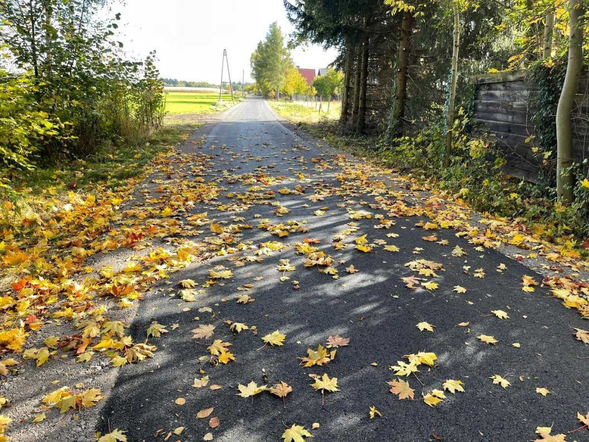 Drogi w gminie Nowogrodziec