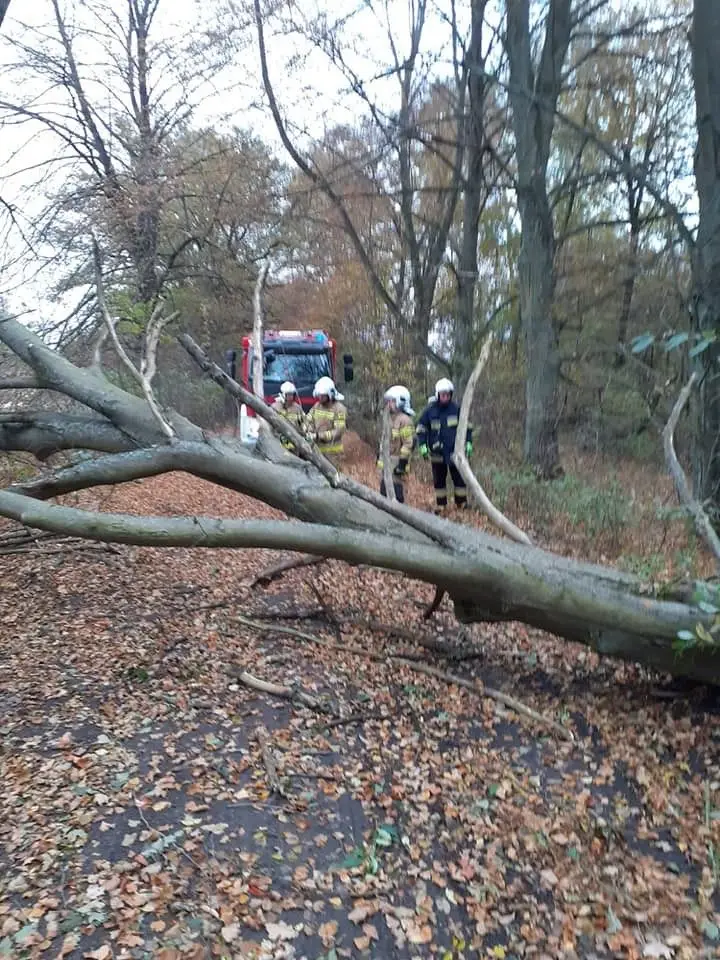 Działania strażaków z Gromadki