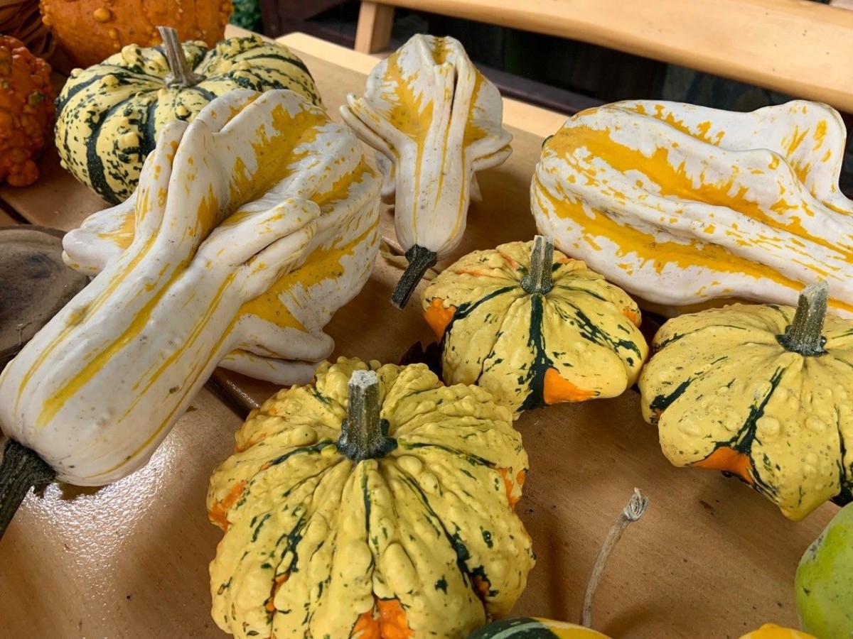 Ozdobne dynie