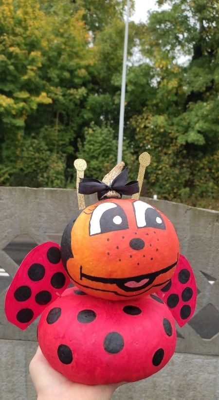 Odwiedź Dyniowy Kącik w Raciborowicach. Idealna opcja na Halloween