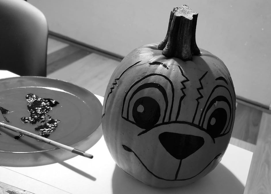 Odwiedź Dyniowy Kącik w Raciborowicach. Idealna opcja na Halloween