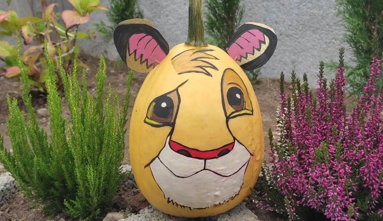 Odwiedź Dyniowy Kącik w Raciborowicach. Idealna opcja na Halloween