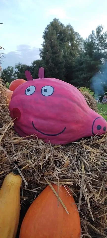 Odwiedź Dyniowy Kącik w Raciborowicach. Idealna opcja na Halloween