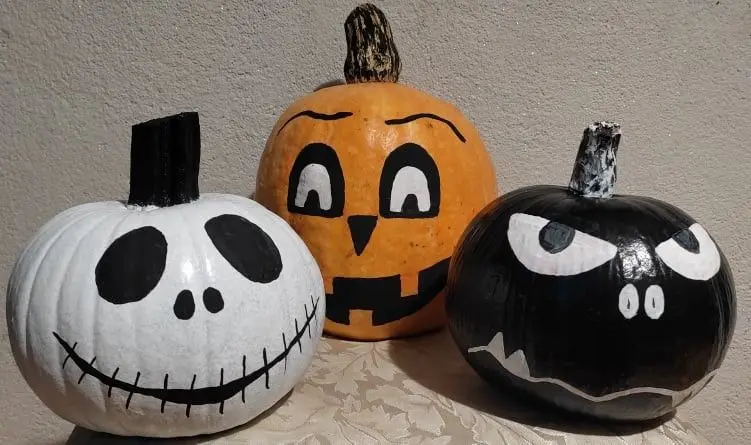 Odwiedź Dyniowy Kącik w Raciborowicach. Idealna opcja na Halloween
