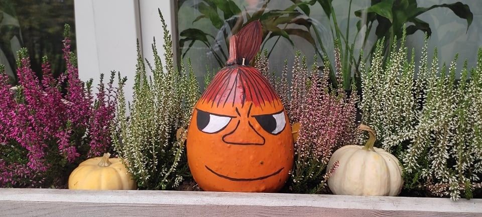 Odwiedź Dyniowy Kącik w Raciborowicach. Idealna opcja na Halloween