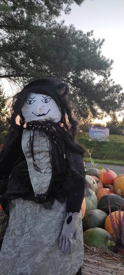 Odwiedź Dyniowy Kącik w Raciborowicach. Idealna opcja na Halloween