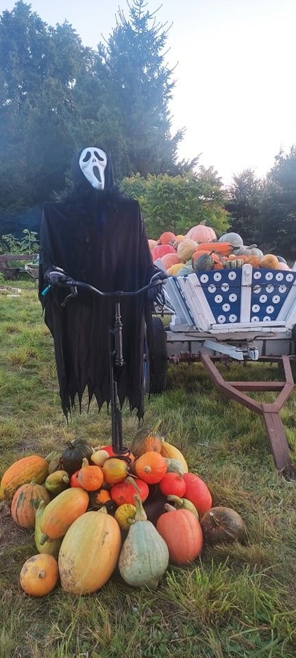 Odwiedź Dyniowy Kącik w Raciborowicach. Idealna opcja na Halloween