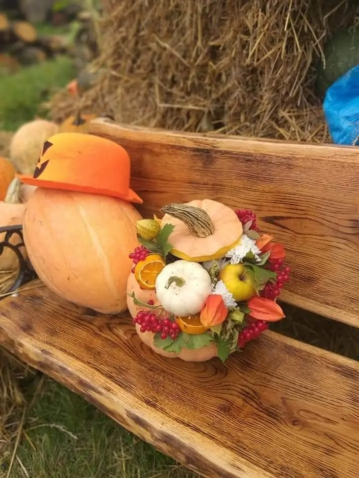 Odwiedź Dyniowy Kącik w Raciborowicach. Idealna opcja na Halloween