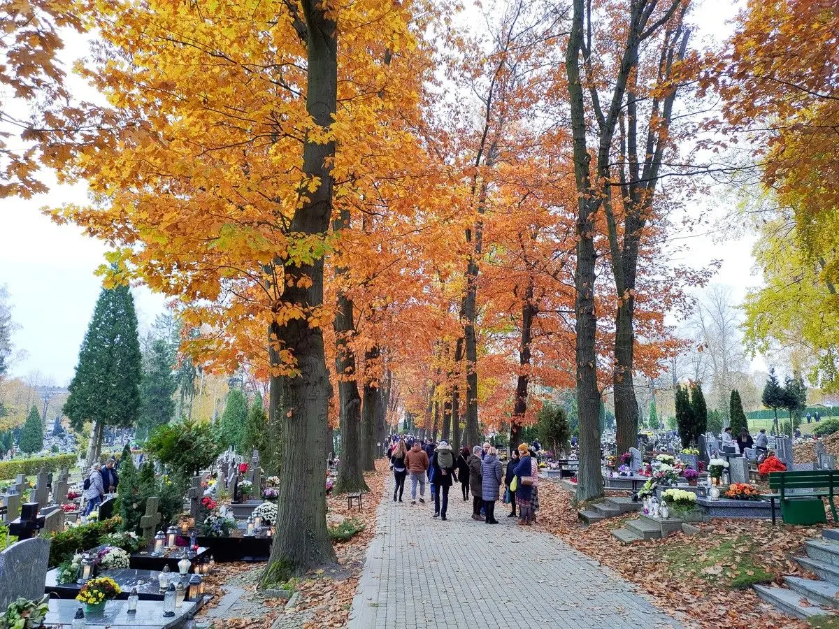 Wszystkich Świętych na bolesławieckim cmentarzu