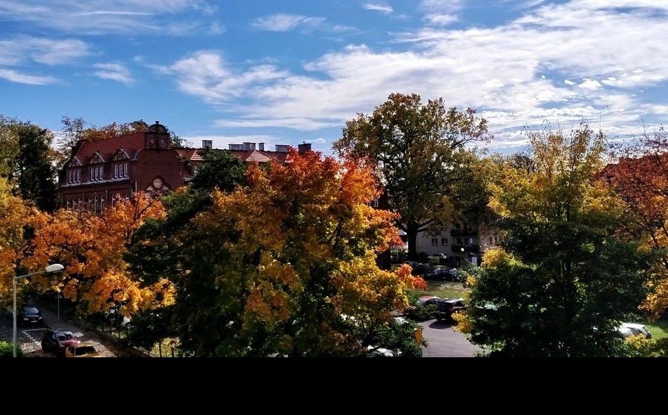 Sytuacja przy Dzieci Wrześni: przed i po