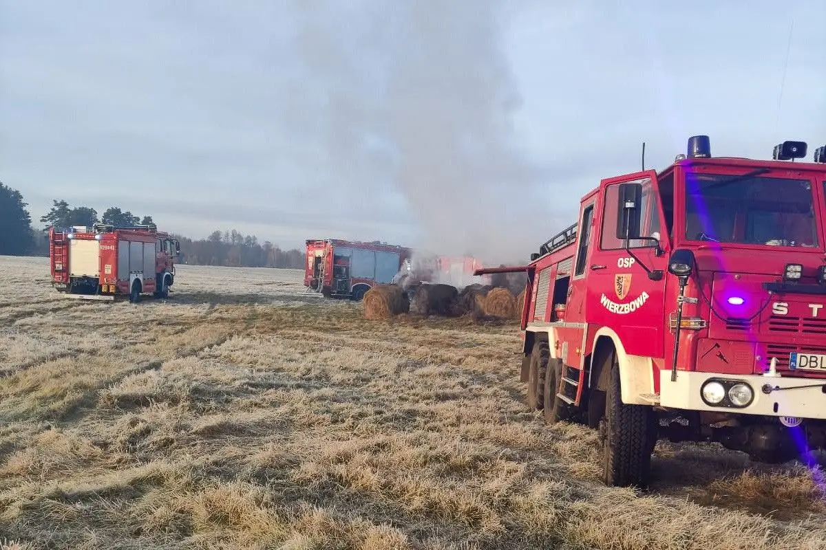 Pożar w Pasterniku