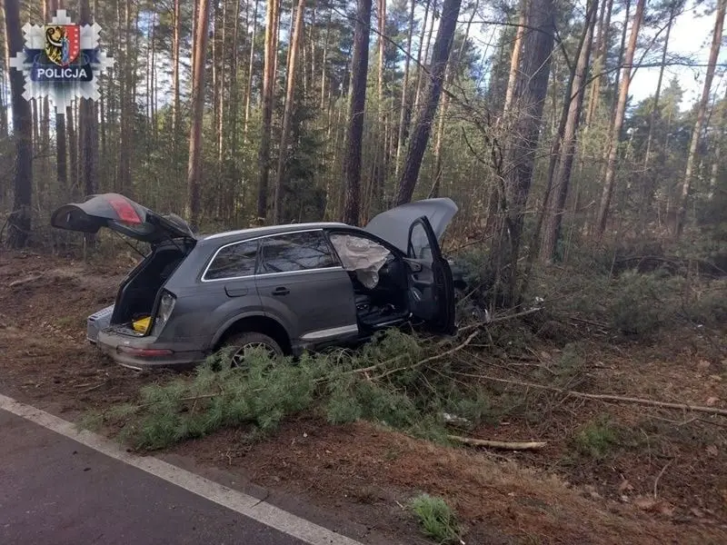 Wypadek i portret pamięciowy