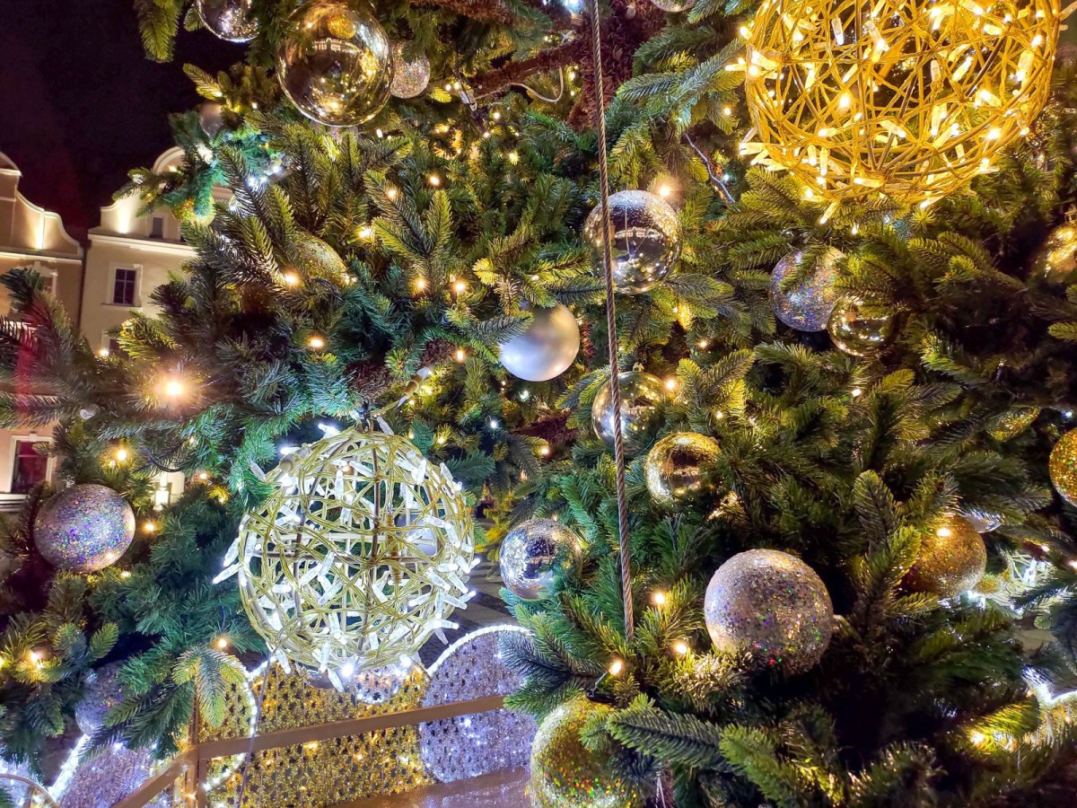 Choinka w Rynku (2021)