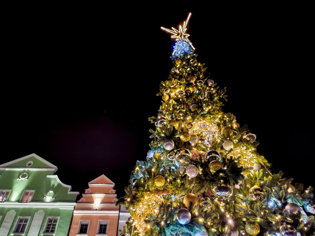 Choinka w Rynku (2021)