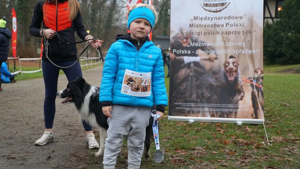 Weekend z psimi zaprzęgami w Kliczkowie