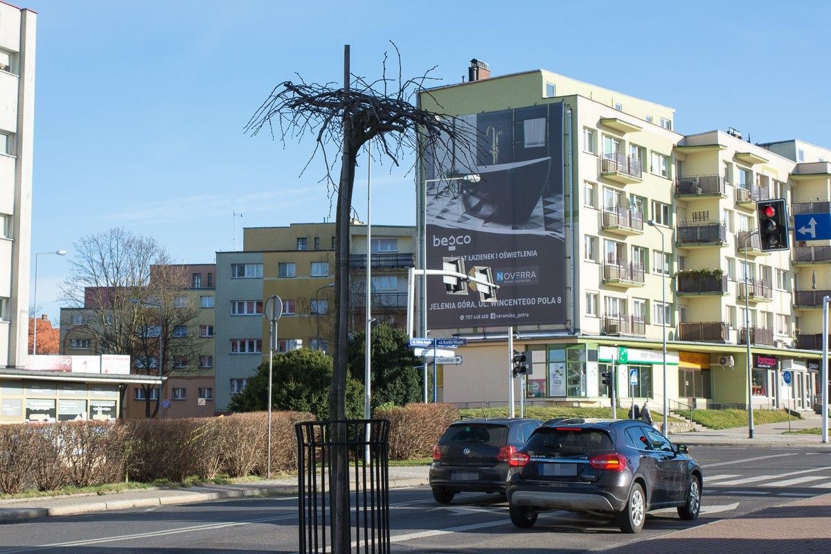 Wiąz zamiast kasztanowca przy bolesławieckim biurowcu