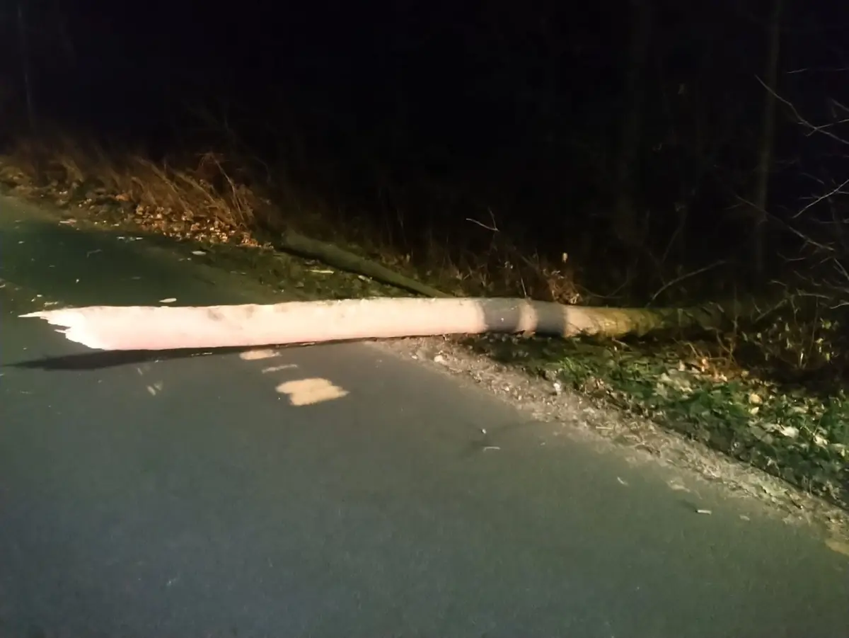 Nocna akcja straży między Gromadką a Modłą