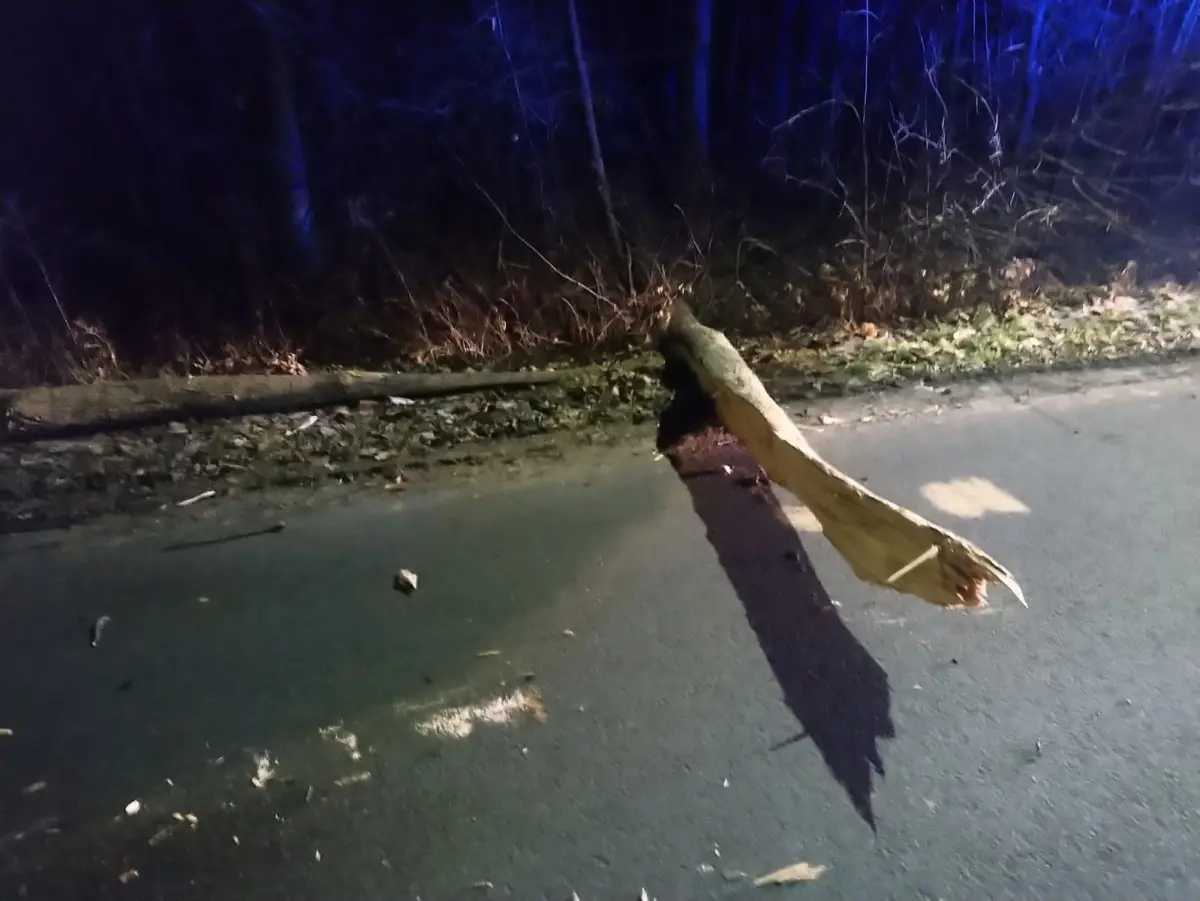 Nocna akcja straży między Gromadką a Modłą