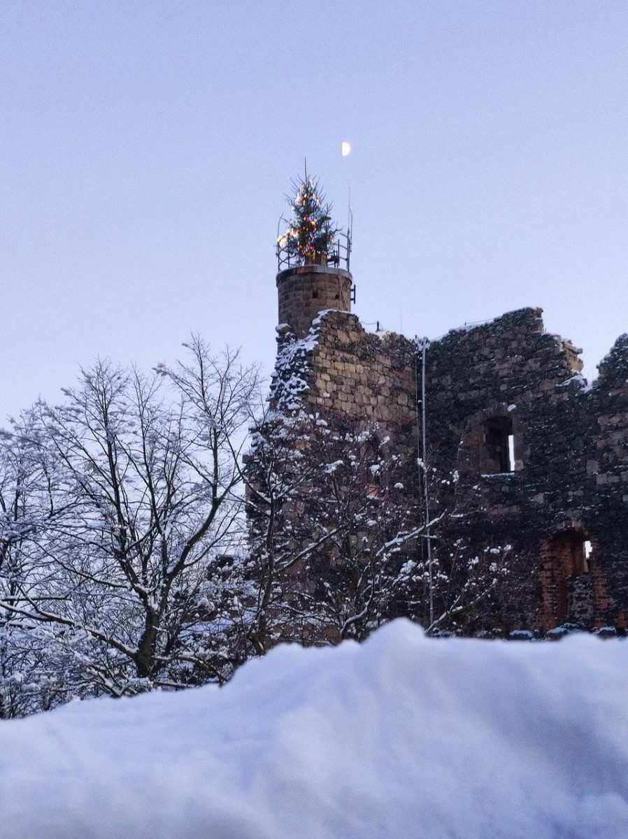 Choinka na Zamku Grodziec