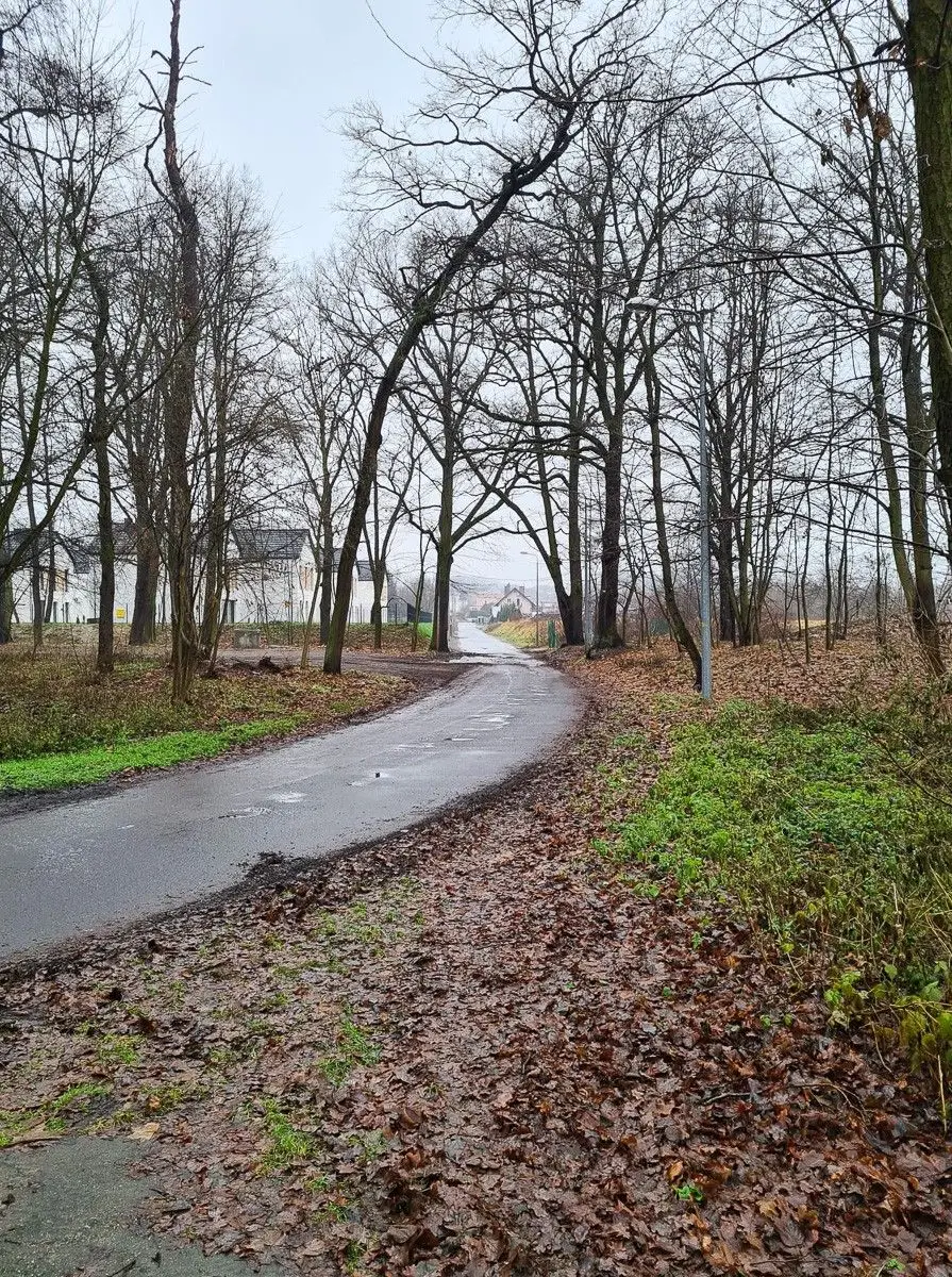 Ulica Spacerowa w Bolesławcu