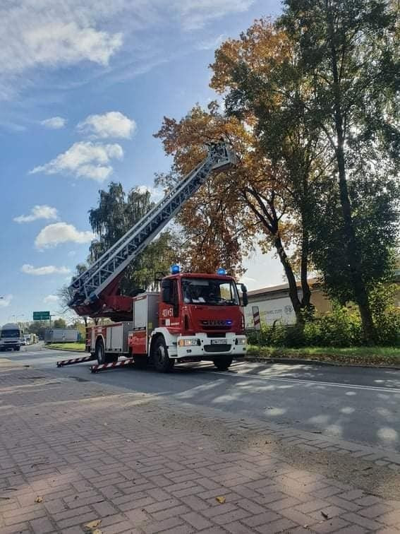Interwencje OSP Trzebień