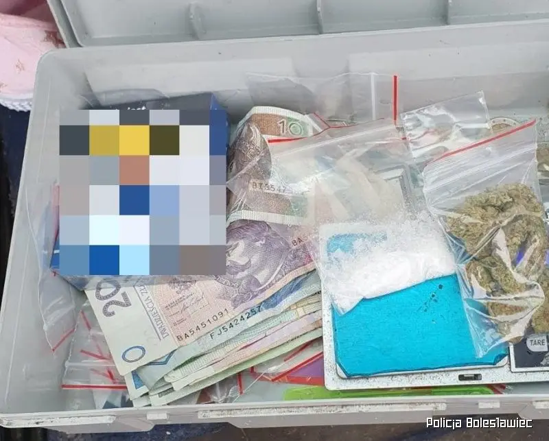 Działania policjantów z Kruszyna