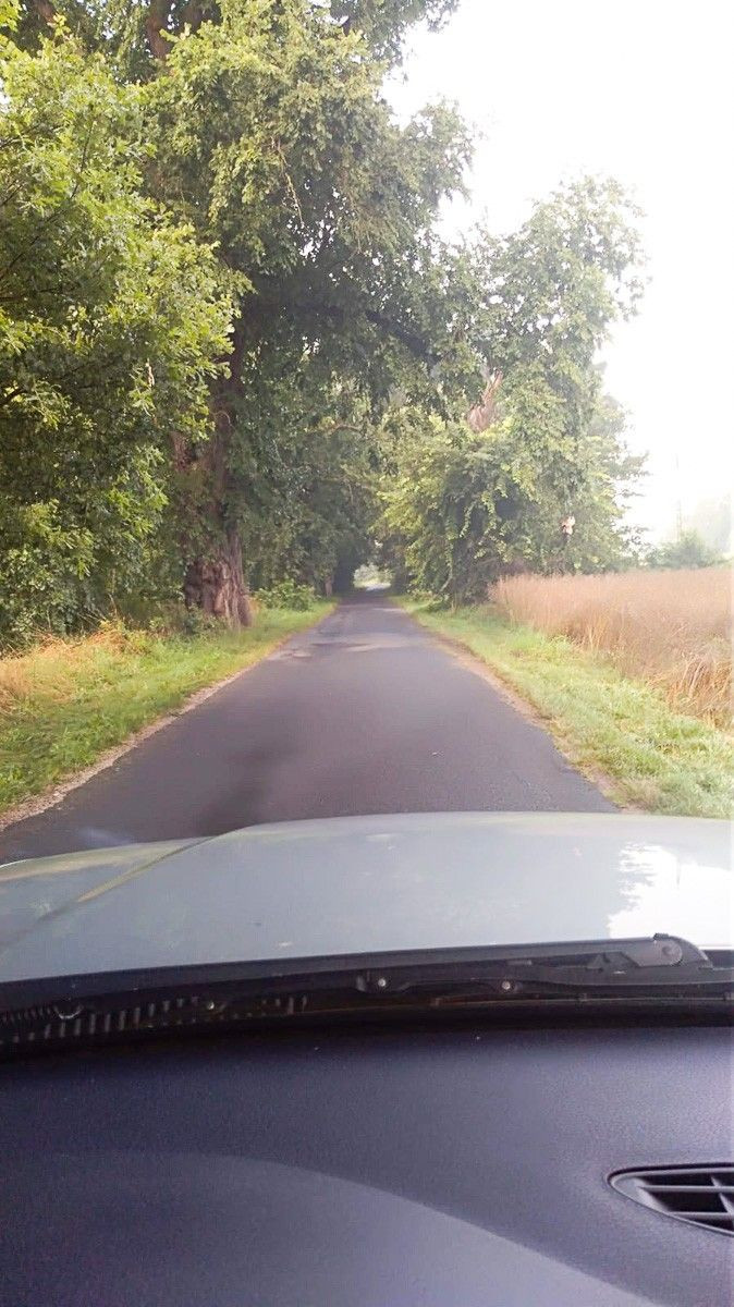 Dziurawa droga w gminie Bolesławiec