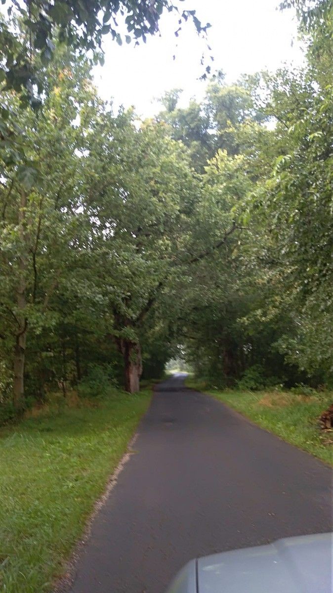 Dziurawa droga w gminie Bolesławiec