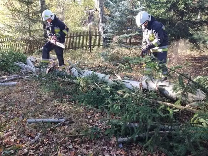 Działania OSP Nowogrodziec – Osiedle