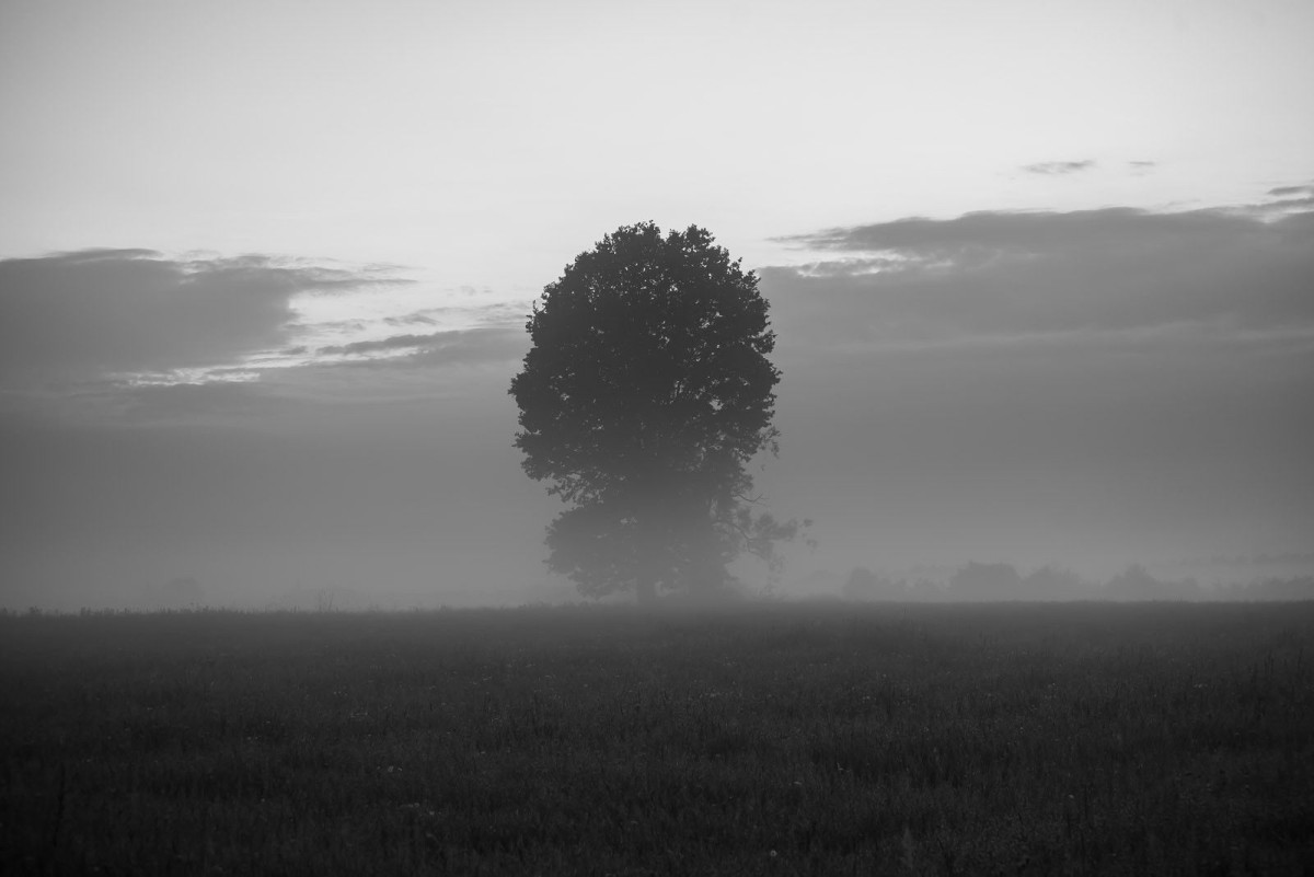 Zdjęcia z Krainy Bielika oraz nocnego nieba i krajobrazów