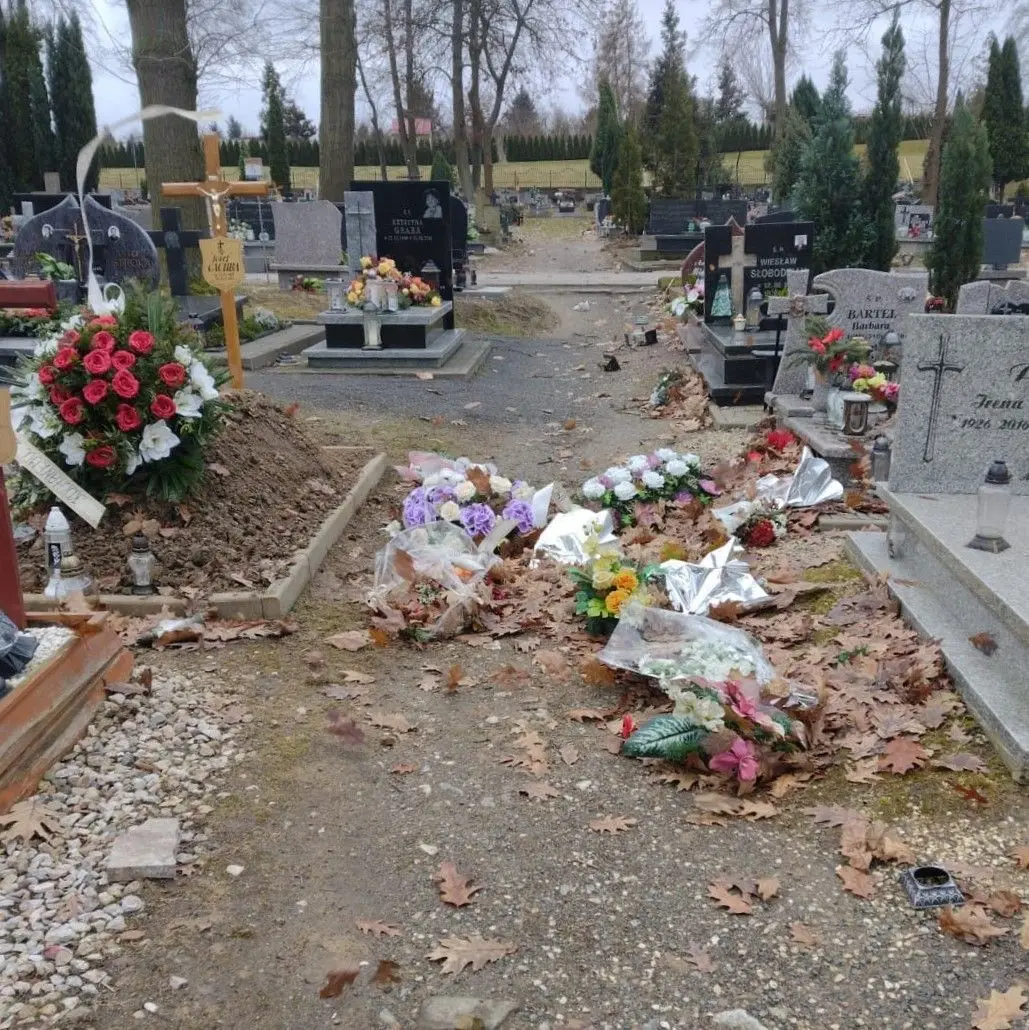 Wiatr sieje spustoszenie na bolesławieckim cmentarzu
